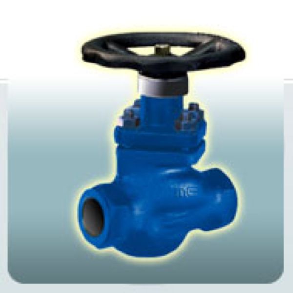 sockte-weld-piston-valve_result